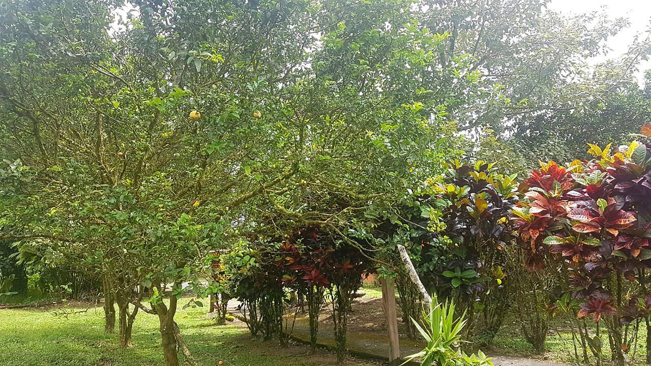 Tio Felix Eco Lodge La Fortuna Bagian luar foto