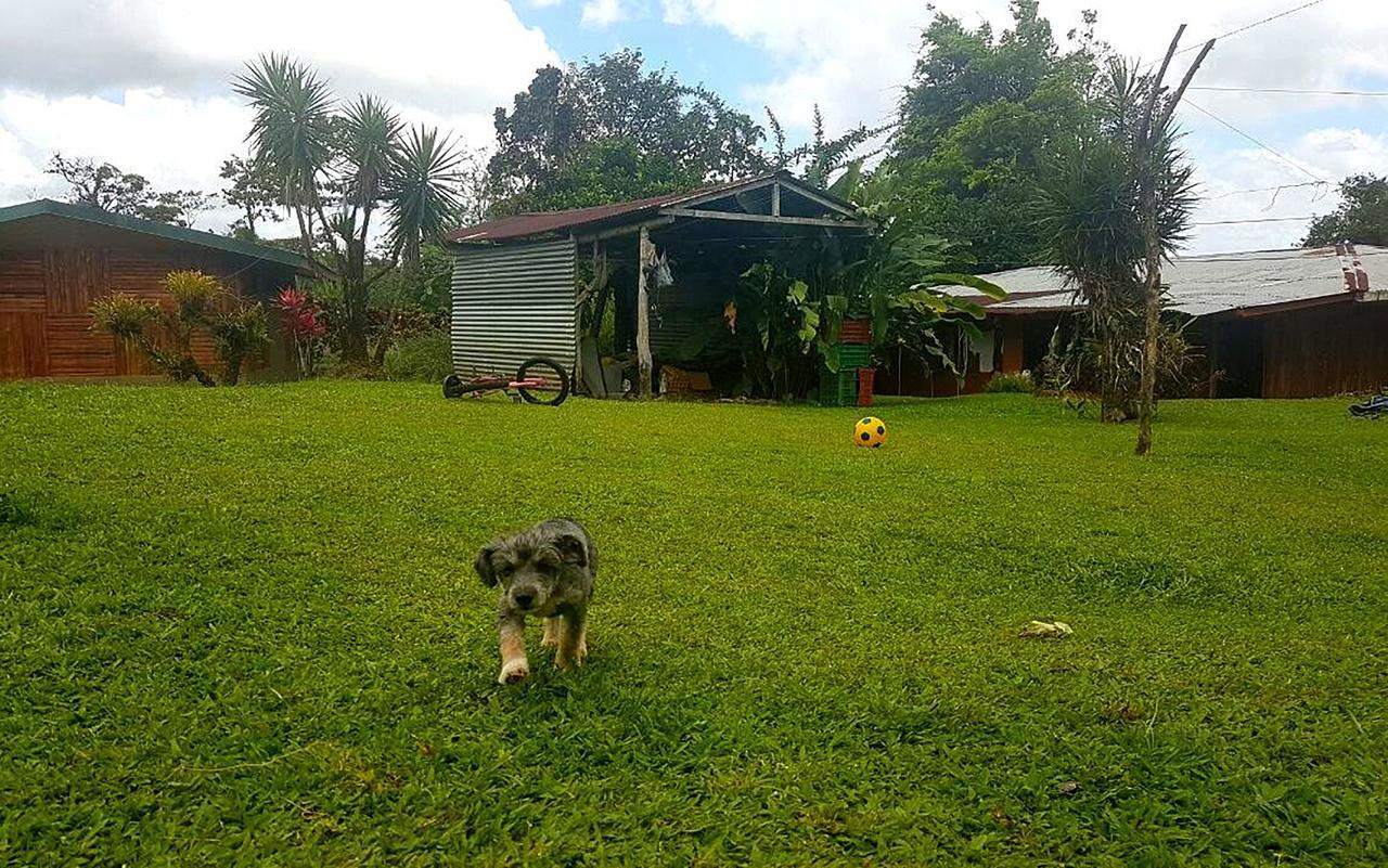 Tio Felix Eco Lodge La Fortuna Bagian luar foto