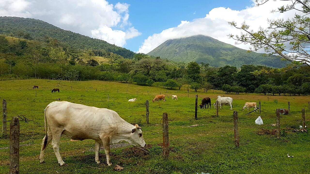 Tio Felix Eco Lodge La Fortuna Bagian luar foto