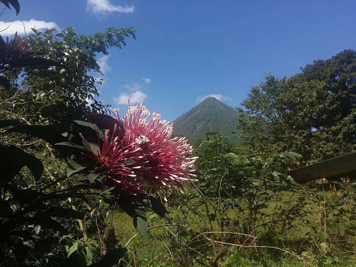 Tio Felix Eco Lodge La Fortuna Bagian luar foto