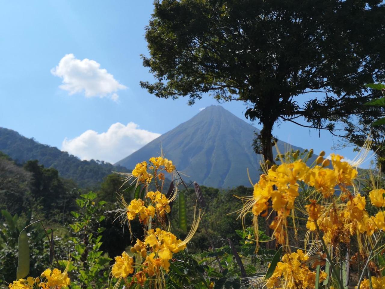 Tio Felix Eco Lodge La Fortuna Bagian luar foto